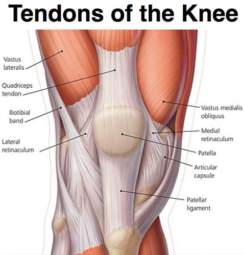 Running Injuries, Pt 1: Tricky Tendons - Kinetic Sports Medicine and  Performance